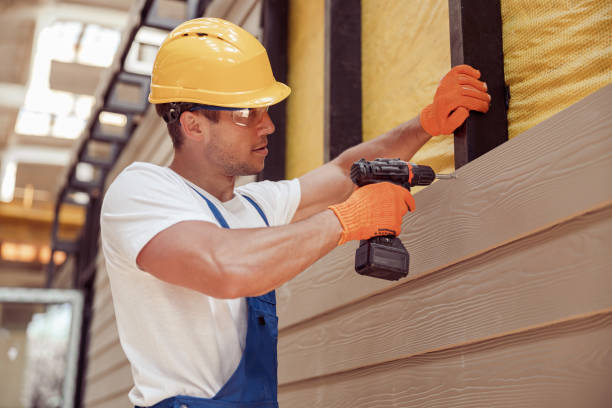 Best Siding Painting and Refinishing  in Bethalto, IL