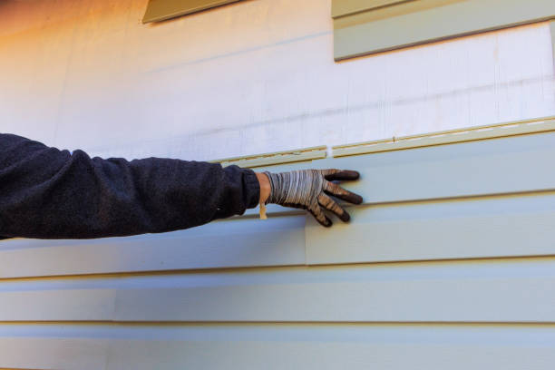 Best Siding Removal and Disposal  in Bethalto, IL